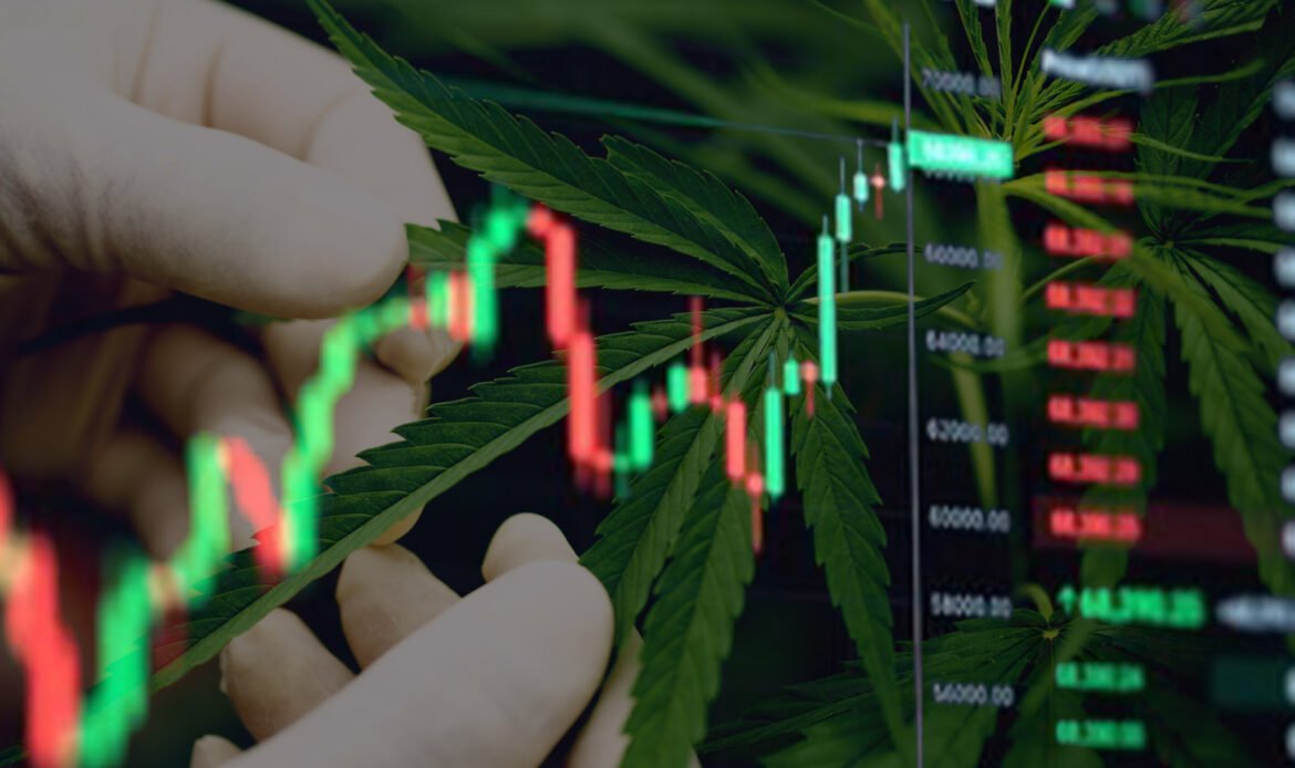 Medical Cannabis Value
