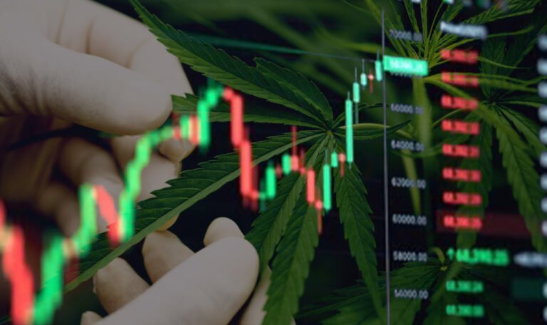 Medical Cannabis Value